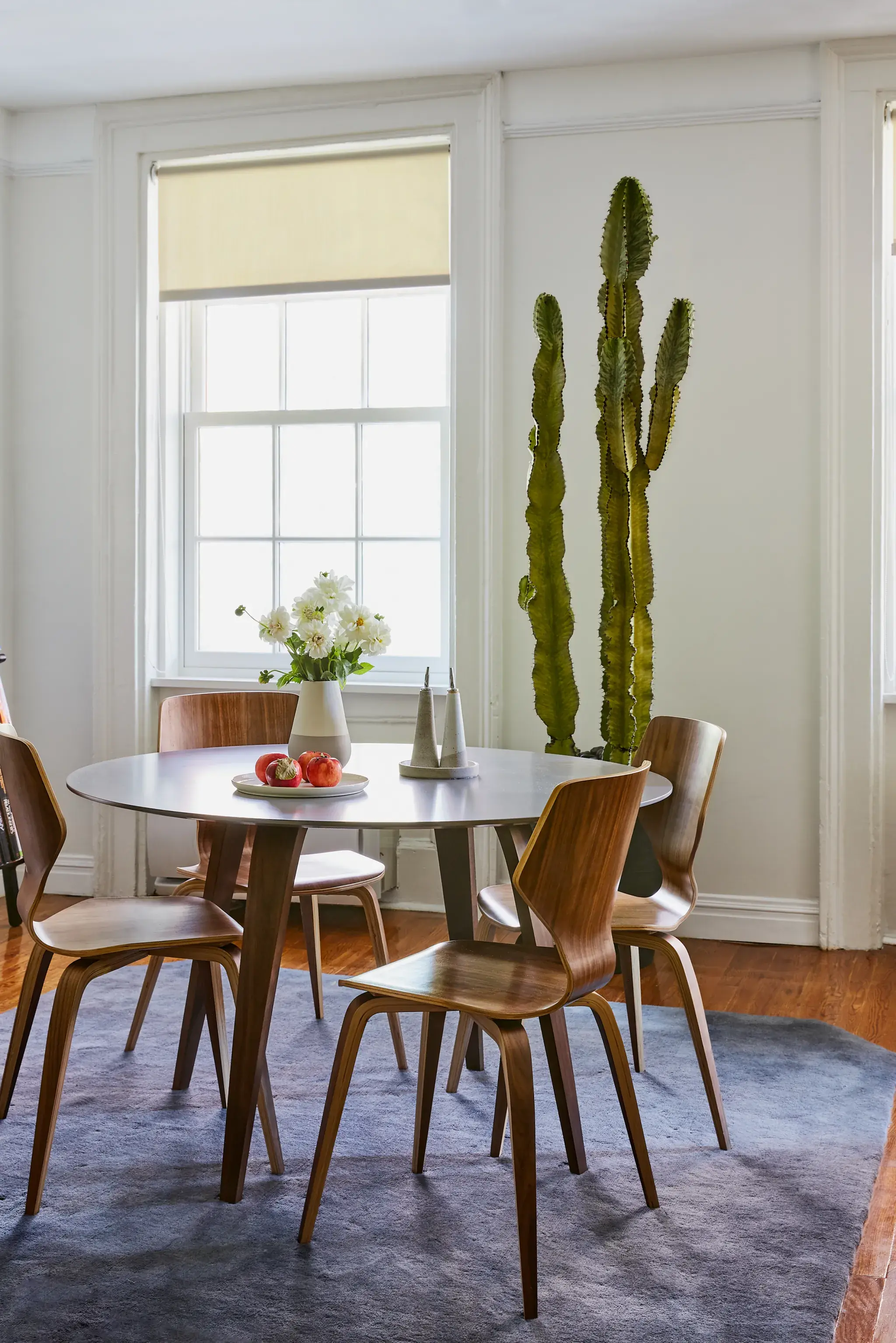 California Chill in the Concrete Jungle: A Home…