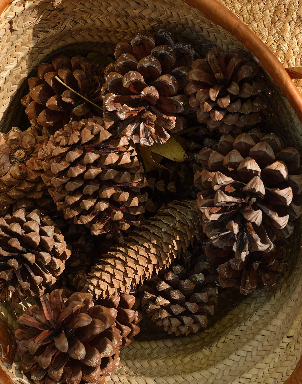 You Can Re-create These Holiday Tables With a Little Foraging and a Trader Joe’s Sprint